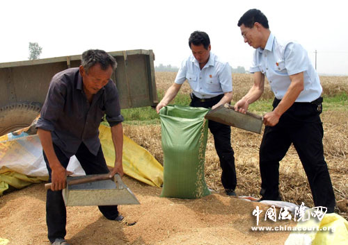 邓州法官帮农村孤寡及留守老人抢收小麦