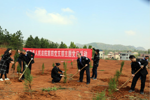 新田法院干警到扶贫结对村开展义务植树活动