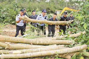 海南昌江：干警强制清除11亩橡胶树 将土地交付给申请人