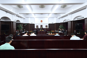 上海金融法院审结首例涉新三板市场虚假陈述责任纠纷案