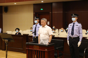 河北省人大常委会原副主任张杰辉受贿案一审宣判