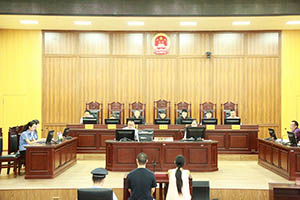 墊江法院首次組成七人合議庭審理一起販毒案件