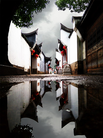 郑青   摄影作品：雨巷
