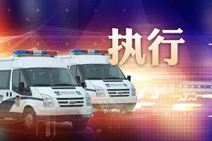 安徽芜湖法院出动300余警力 剑指失信人