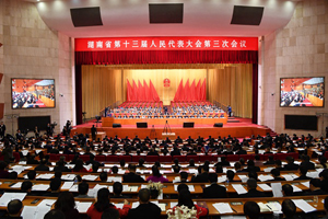 田立文在湖南省十三届人大三次会议上作法院工作报告