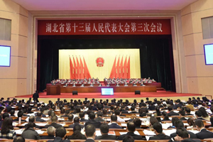 湖北省高级人民法院工作报告获高票通过