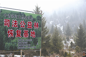 洮河林区法院等部门联合建设的司法公益林恢复基地