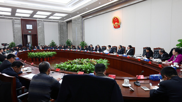 中国法院网-2016年中央政法工作会议专题