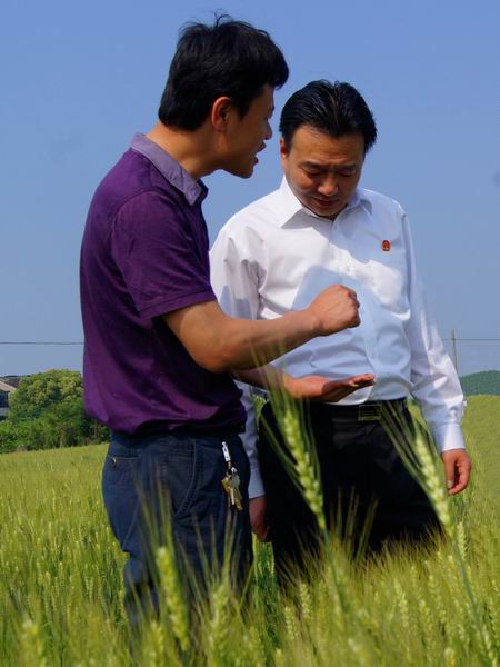 开发区法院叶志浩院长深入田间地头走访种植大户